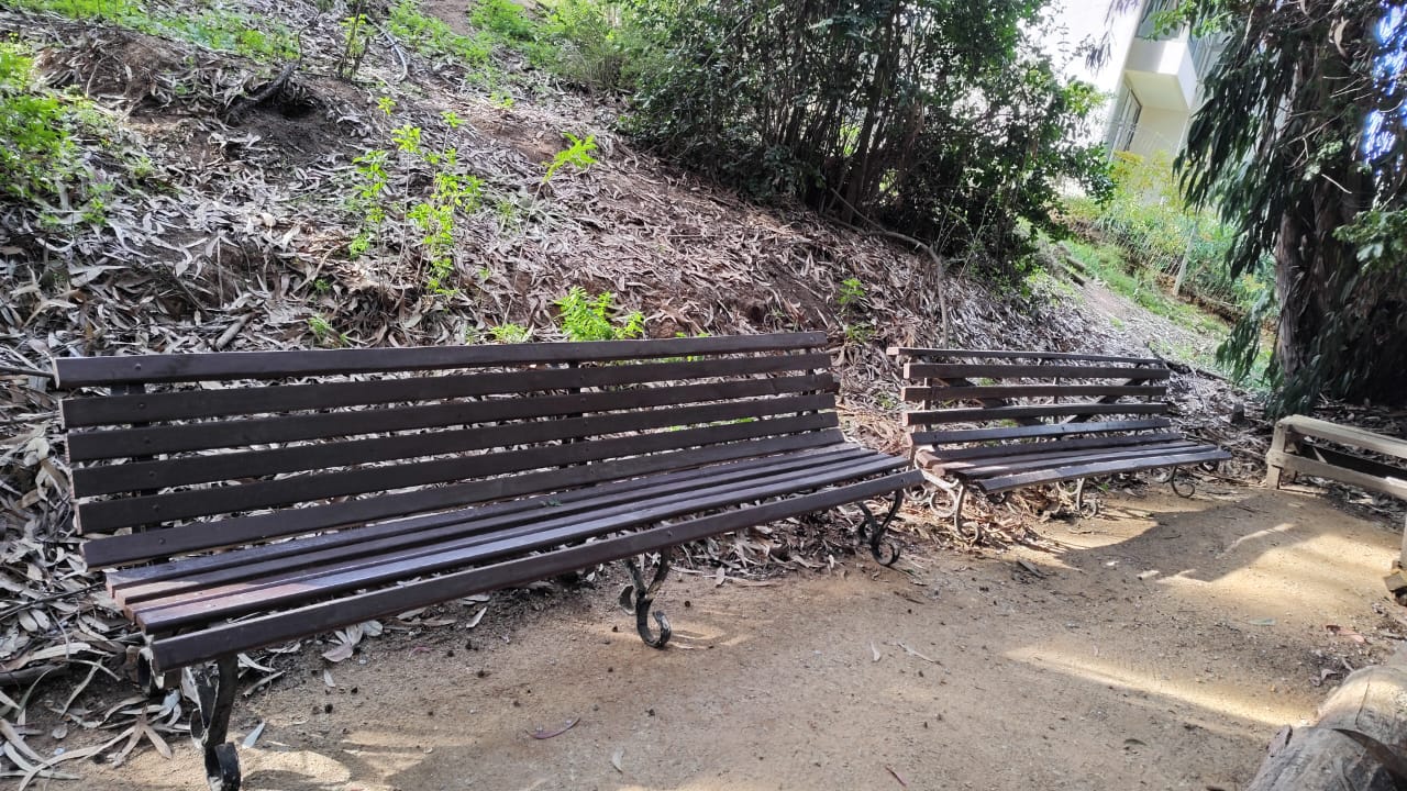 ENTREGA DE ESCAÑOS PARA EL PARQUE NATURAL